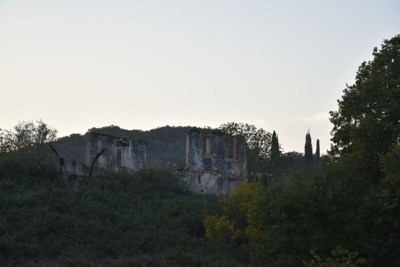 Villa Epavlis Nadine Corfu Gouvia Exterior foto